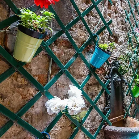 Flowery Court Close To Rialto Bridge 베니스
